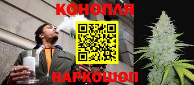 дурь Кингисепп