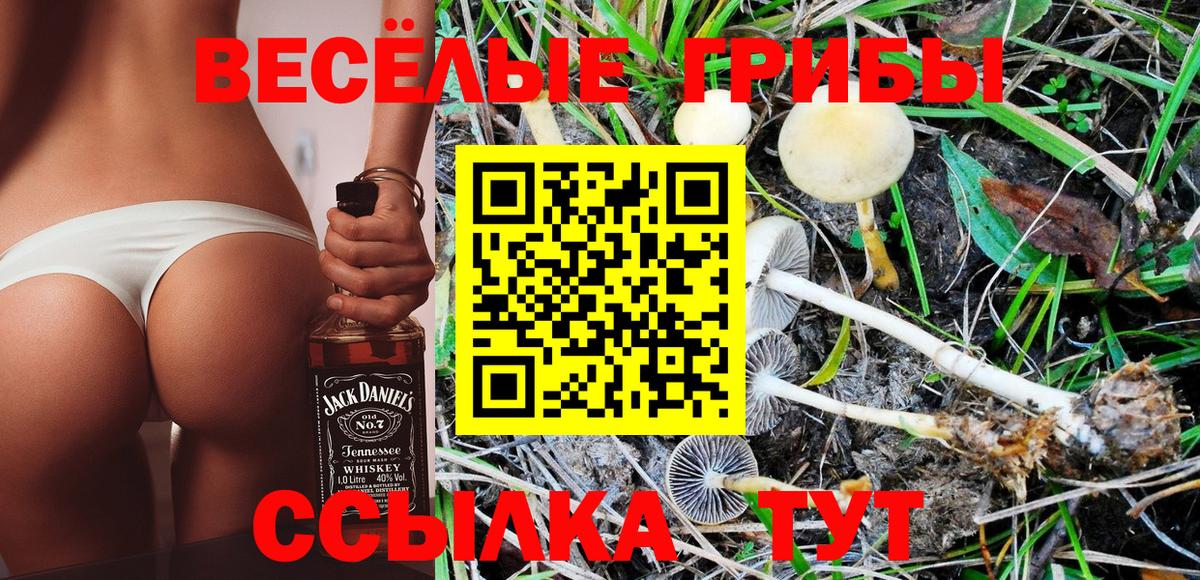 Псилоцибиновые грибы MAGIC MUSHROOMS  Вход с VPN  Йошкар-Ола  Галлюциногенные грибы GOLDEN TEACHER 